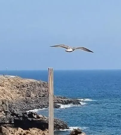 Hébergement de vacances Casa Millan